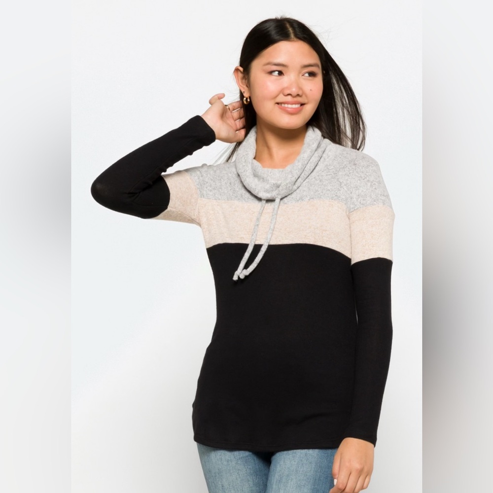 Colorblock Cowl Neck Sweater